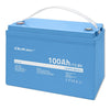 Qoltec LiFePO4 lithium iron phosphate battery | 12.8V | 100Ah | 1280Wh | BMS