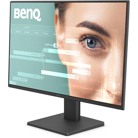 BenQ GW2491 Monitor 23.8'' IPS, FHD 1920x1080, 5 ms, 250 cd/m2, 100 Hz, Black
