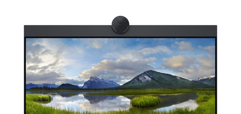 Dell P2424HEB Monitor 23.8'' IPS FHD 1920x1080, 8 ms, 250 cd/m2, 60 Hz, Black