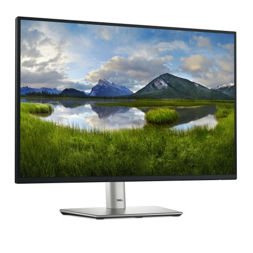 Dell P2425 Monitor 24'' IPS WUXGA 1920x1200, 8 ms, 300 cd/m2, 100 Hz, Black/Silver