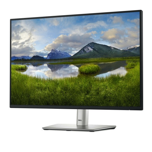 Dell P2425E Monitor 24'' IPS WUXGA 1920x1200, 8 ms, 300 cd/m2, 100 Hz, Black/Silver