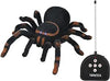 Ecost Customer Return Iso Trade 4503 Remote Controlled Spider Tarantel 23 x 25 x 7.5 cm Giant Spider