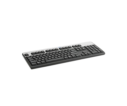 HP 434821-082 USB Keyboard Basic, DK