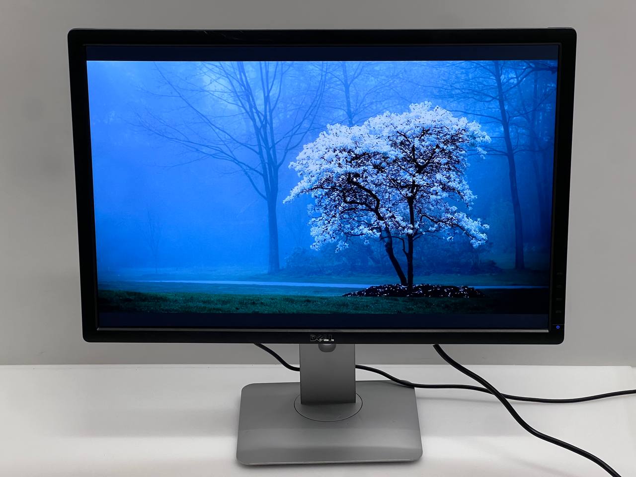 Dell U2412M 24