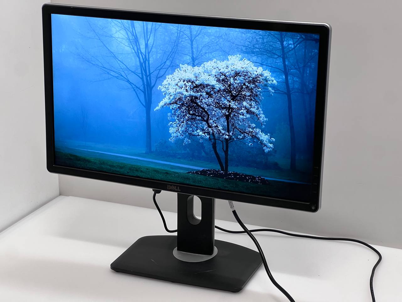 Dell P2414Hb 24