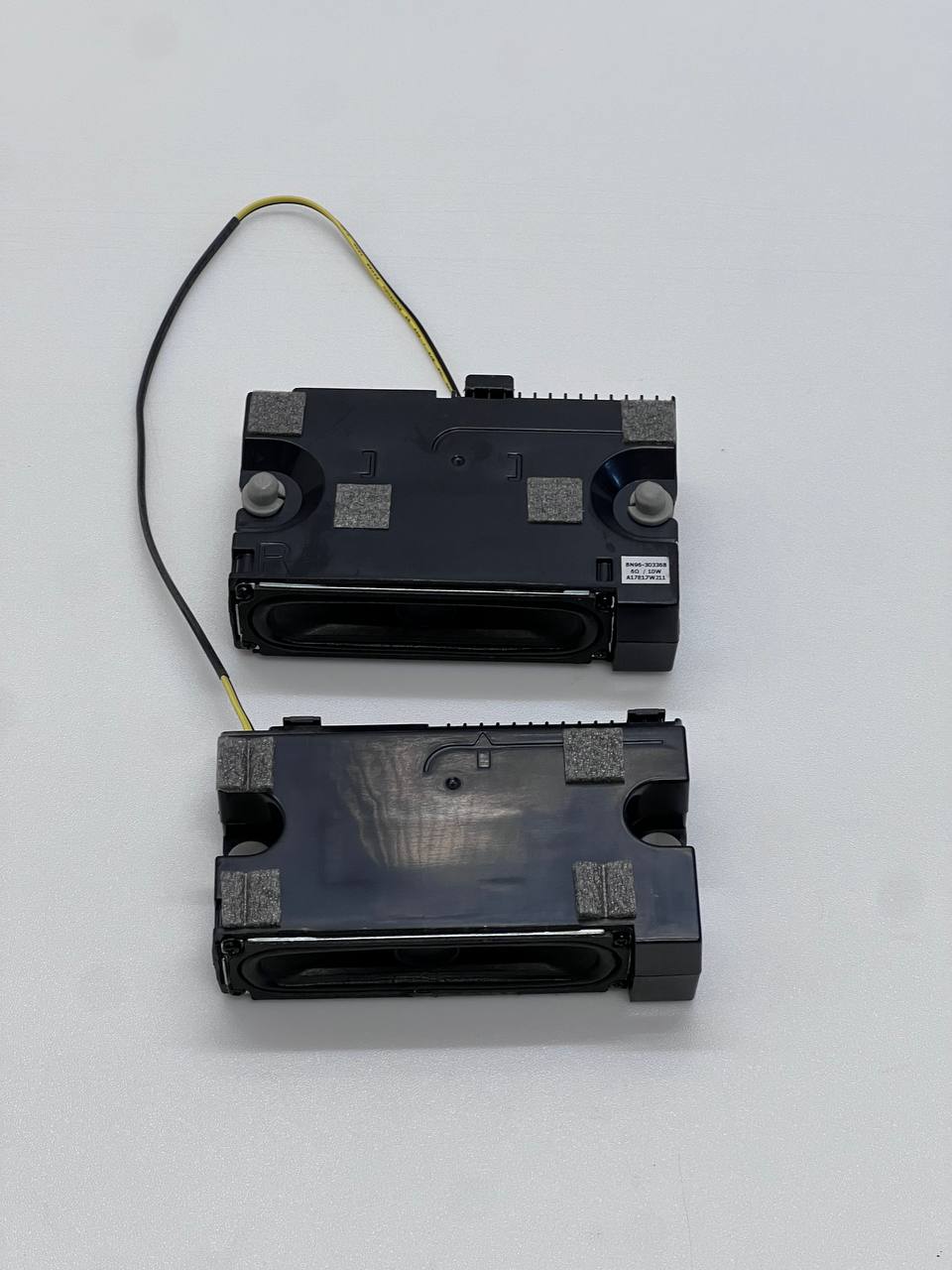 Samsung T32E310EX TV Speakers W10 BN96-30336B