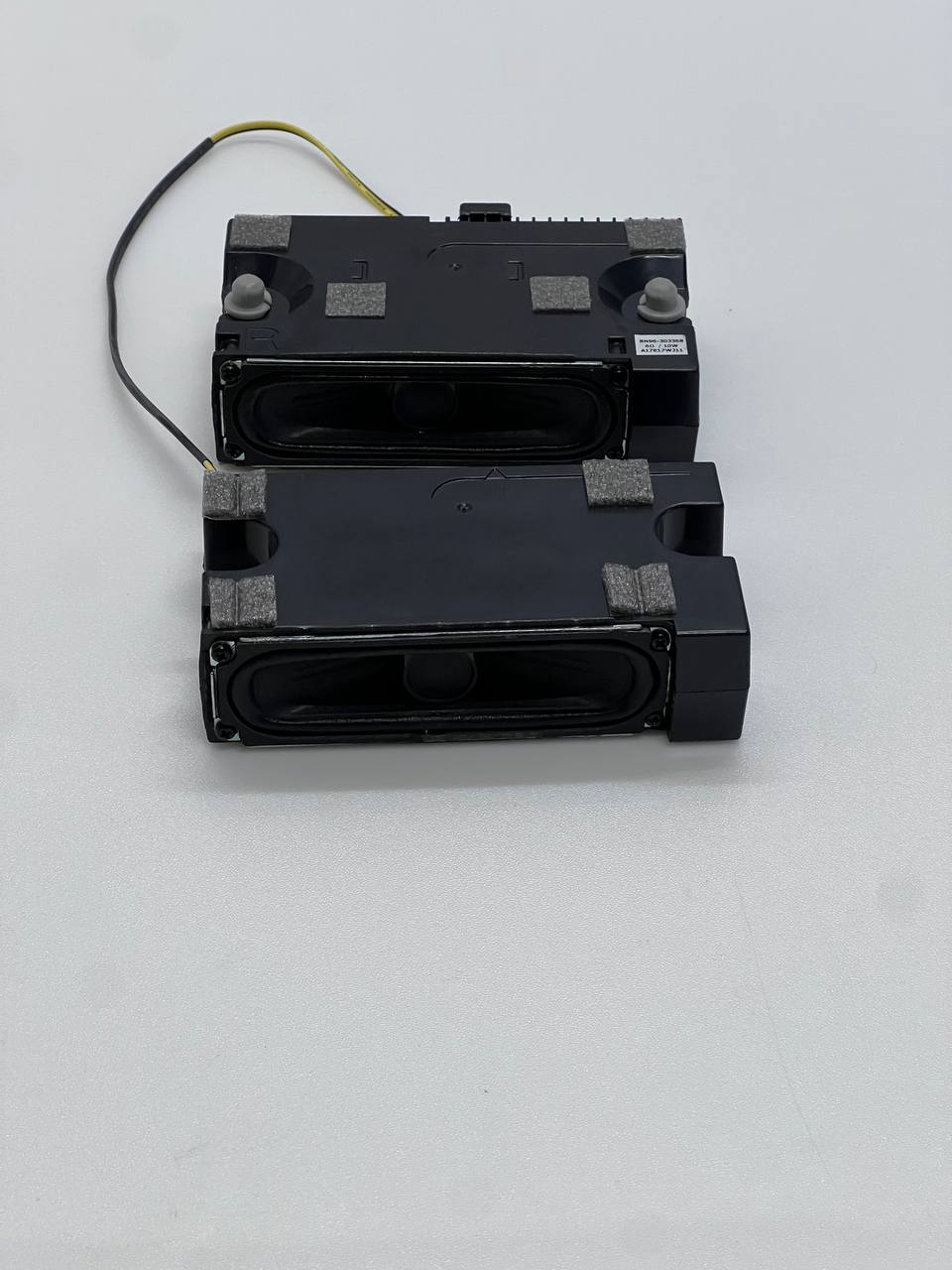 Samsung T32E310EX TV Speakers W10 BN96-30336B