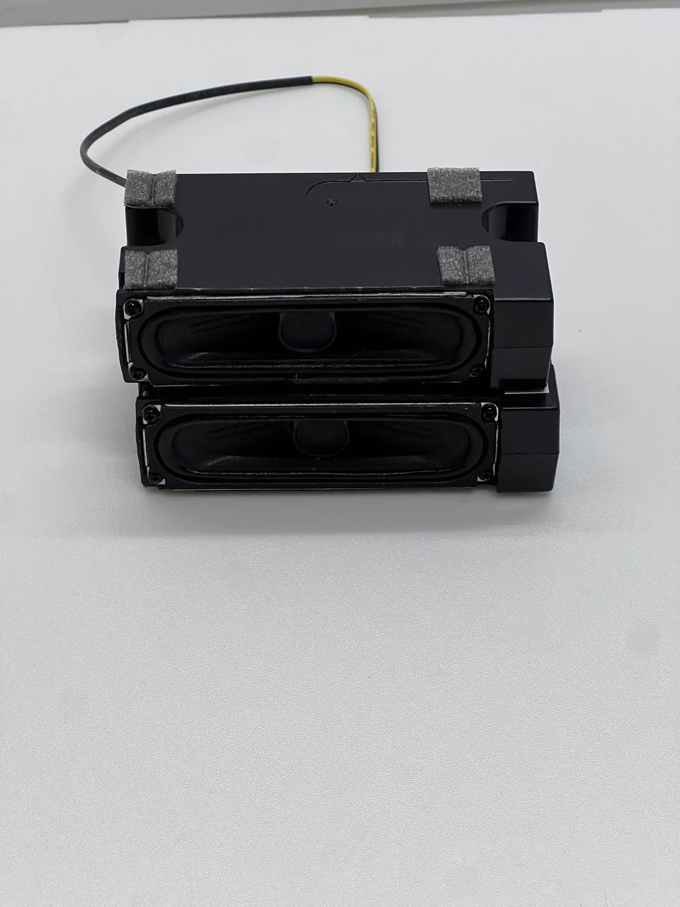 Samsung T32E310EX TV Speakers W10 BN96-30336B