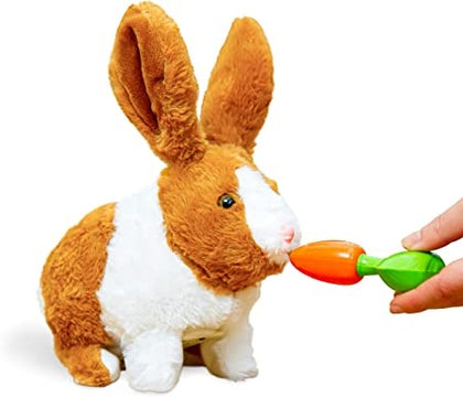 Ecost Customer Return Think Gizmos TG813 Interactive Toy Rabbit Toy for Boys and Girls Age 3 - 8 - E