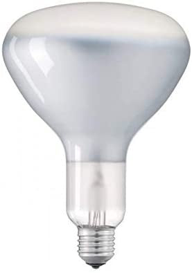 Ecost Customer Return, Filament LED Light Bulb R125 8 W E27 Glossy Dimmable