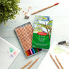 Derwent Academy Watercolour Pencils 12 colours, Tin box